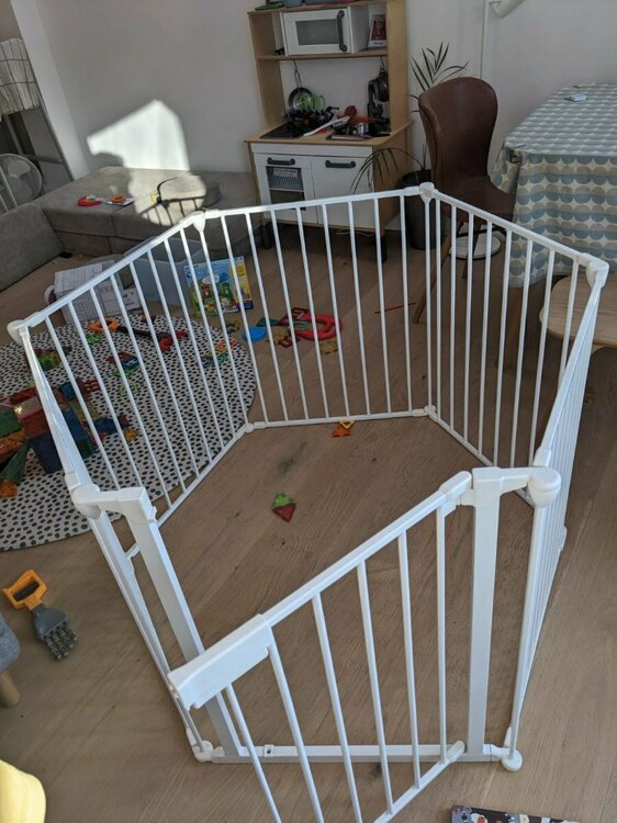 WhatsApp Image 2025-08-05 at 7.41.56 PM (1).jpeg