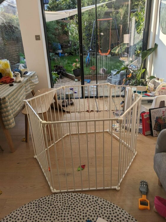 WhatsApp Image 2025-08-05 at 7.41.56 PM.jpeg