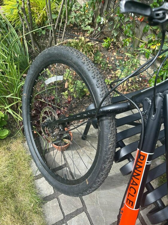 WhatsApp Image 2025-08-14 at 14.53.51 (2).jpeg