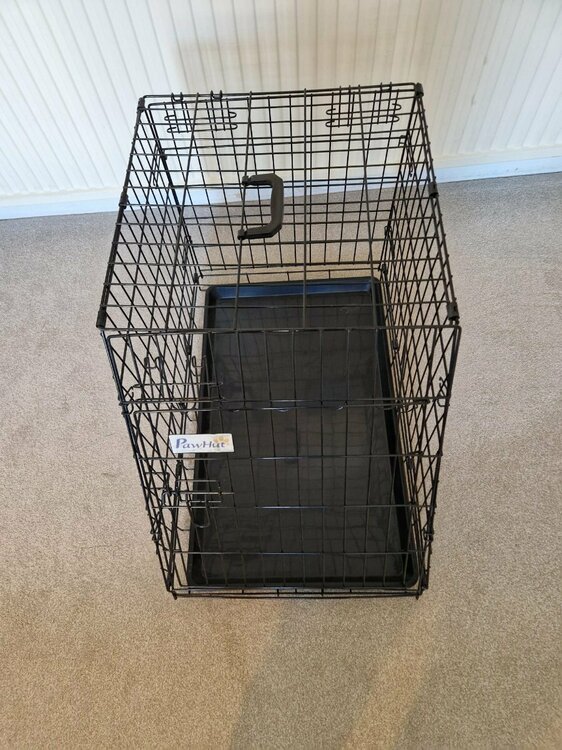 PHOTO-2025-09-13-17-12-49 (1).jpg