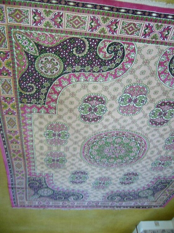 Photo albums 065 carpet 1.JPG