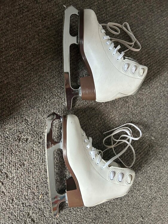 Skates 1.jpg