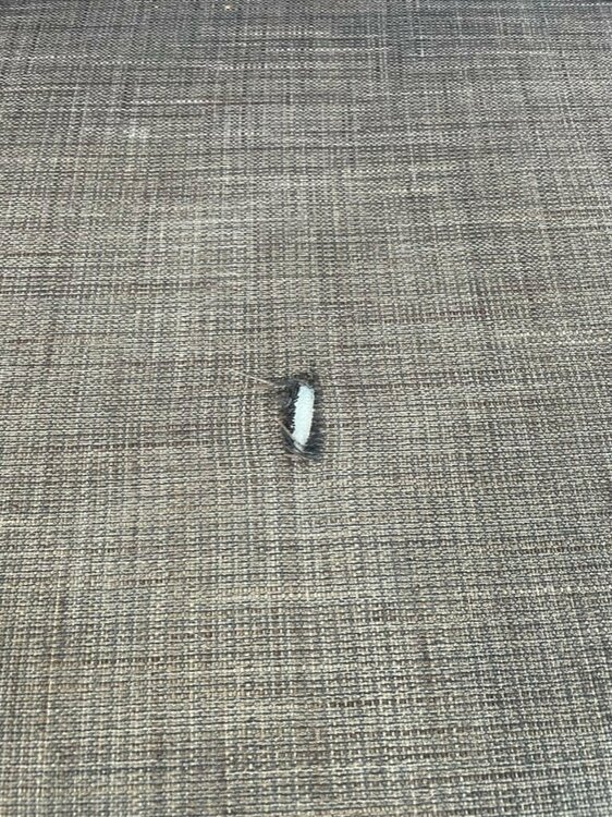 Untitled design (2).jpg