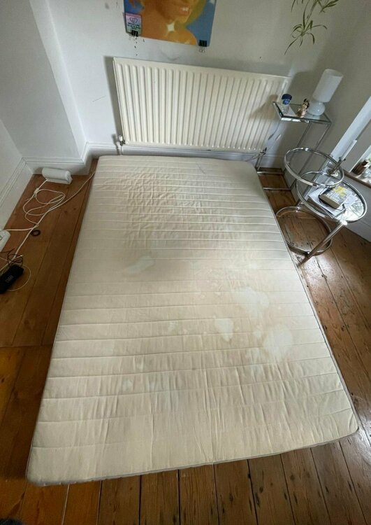 WhatsApp Image 2025-09-16 at 16.56.49_9366e07c.jpg