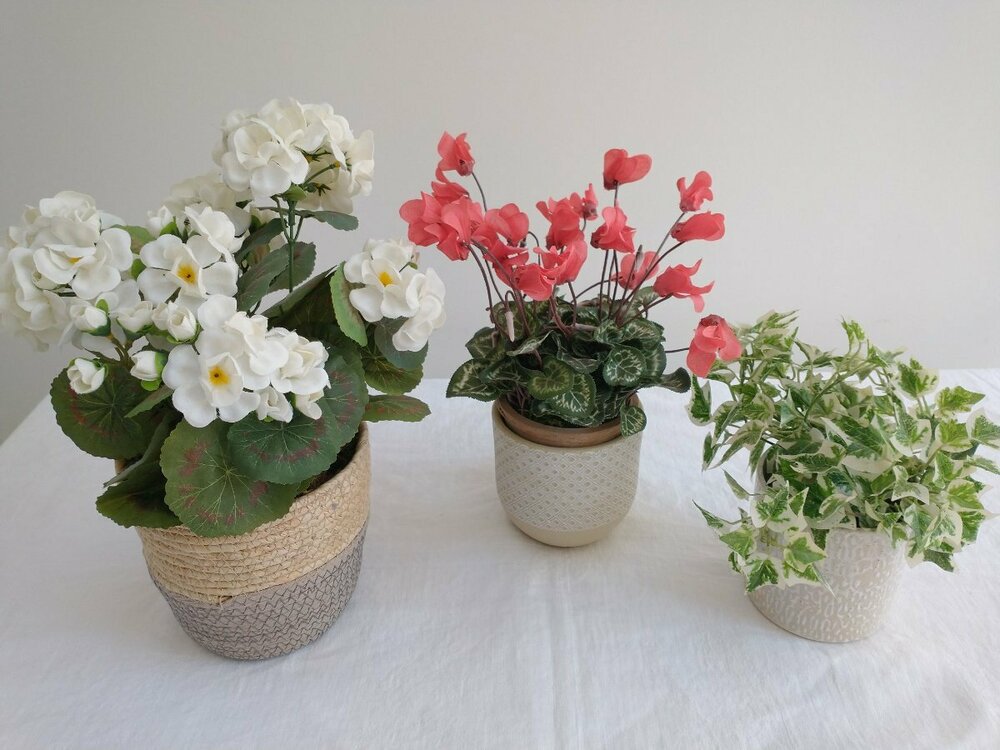 artificial geranium cyclamen ivy.jpg