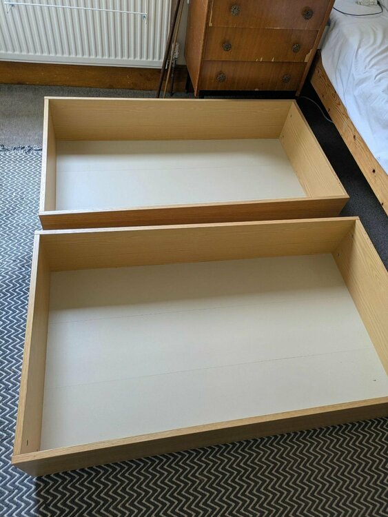 Adobe Express - file.jpg