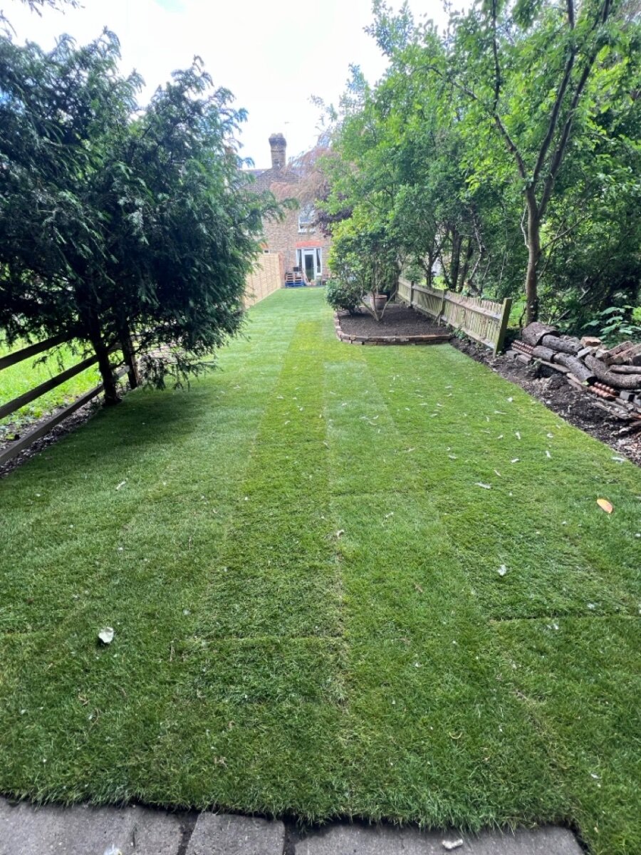 Garden Transformation – Clearance & Turfing - Request a Tradesperson ...