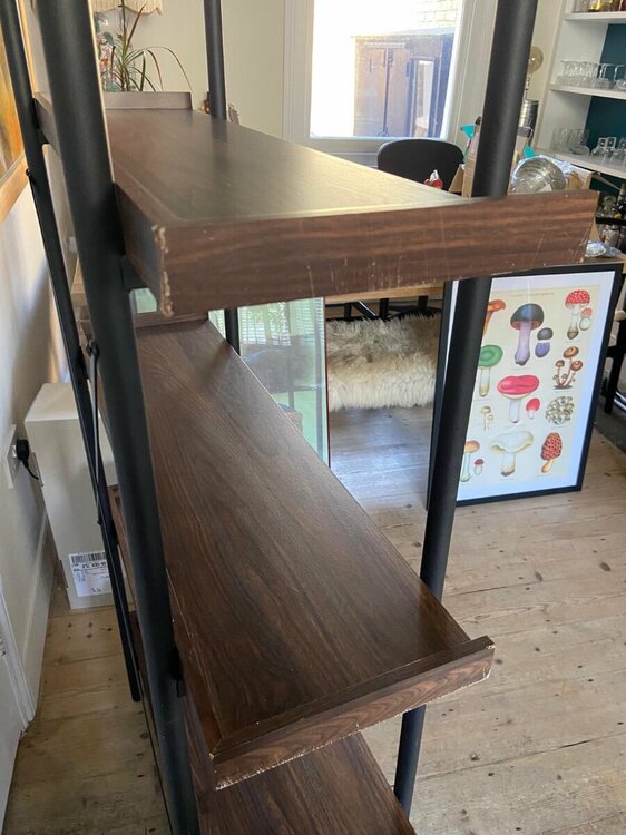 PHOTO-2025-10-11-14-51-05 2.jpg