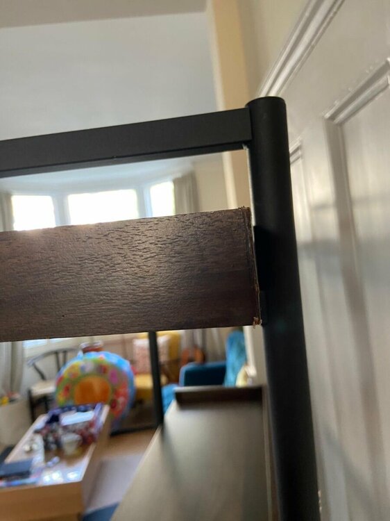 PHOTO-2025-10-11-14-51-05 3.jpg