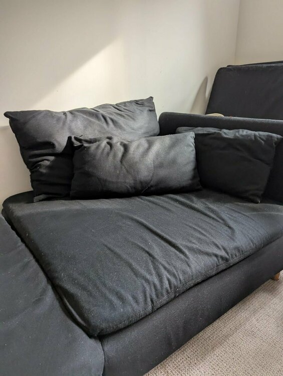 WhatsApp Image 2025-10-02 at 10.51.17_23ae0288.jpg