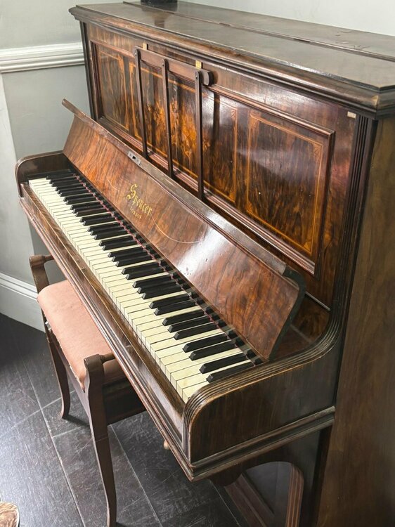 WhatsApp Image 2025-10-12 at 14.37.22_d85cf067.jpg