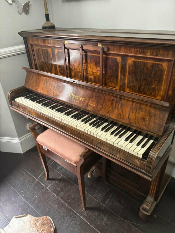 WhatsApp Image 2025-10-12 at 14.37.41_5b1eb2ea.jpg