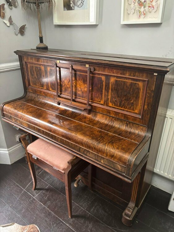 WhatsApp Image 2025-10-12 at 14.37.48_17a01983.jpg