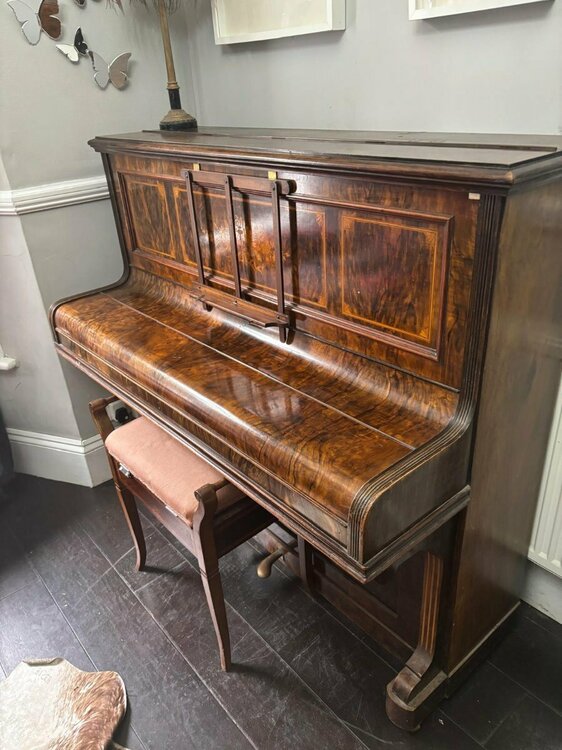 WhatsApp Image 2025-10-12 at 14.38.20_74b02b3f.jpg