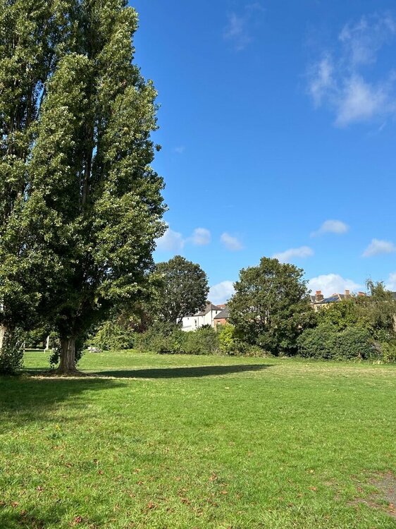 afe22621-b23d-4e25-99e3-68b701be5ed2 2.JPG