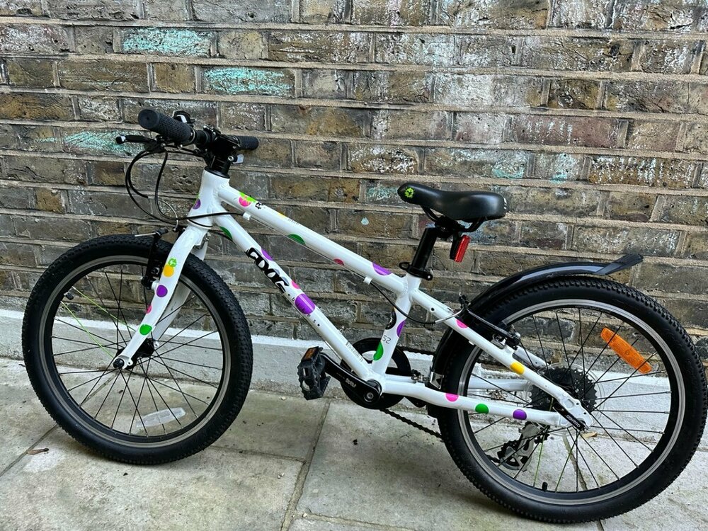 IMG_2204 2 Large.jpeg