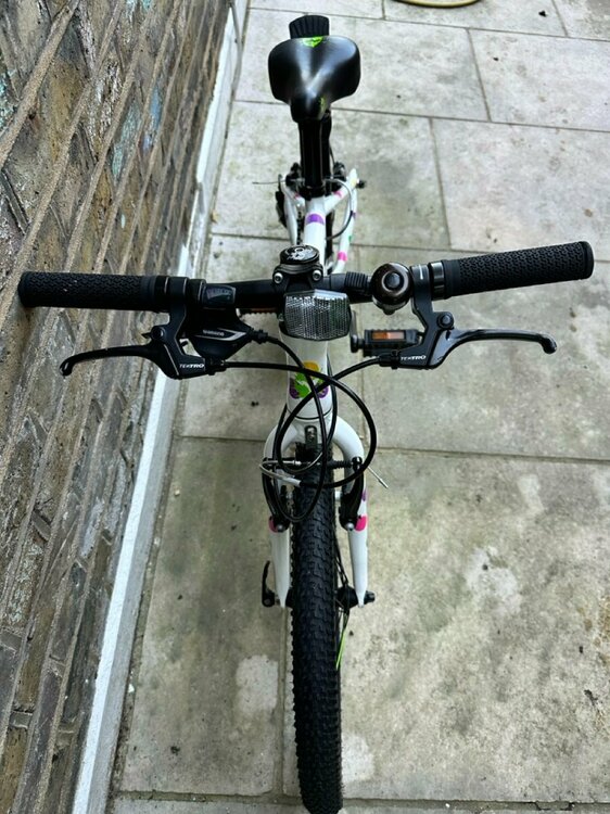 IMG_2207 2 Large.jpeg