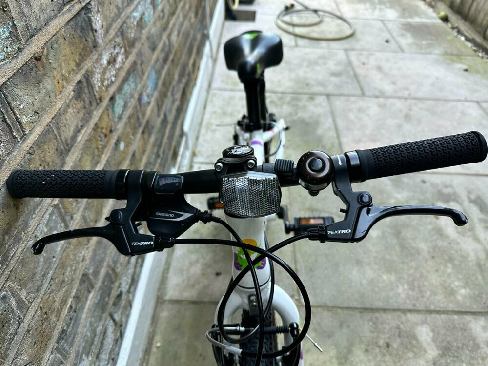 IMG_2208 2 Large.jpeg