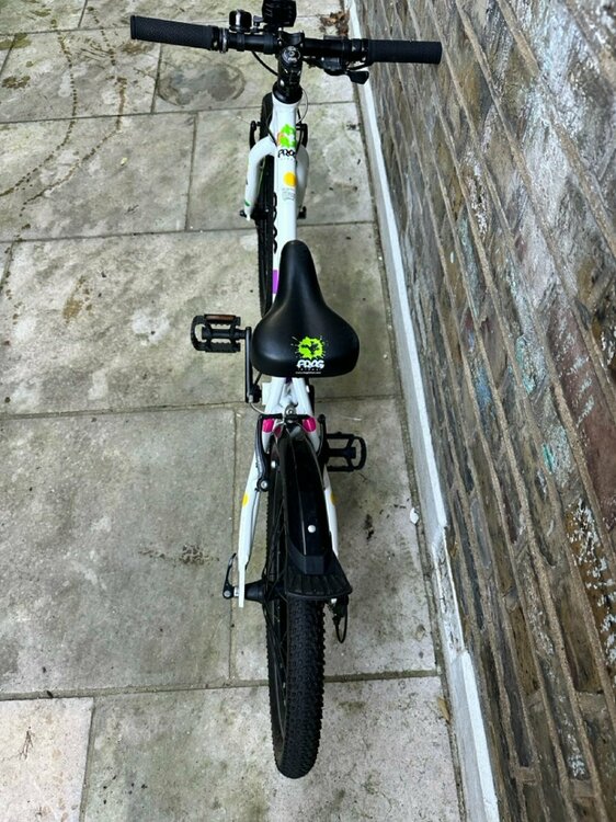 IMG_2209 2 Large.jpeg