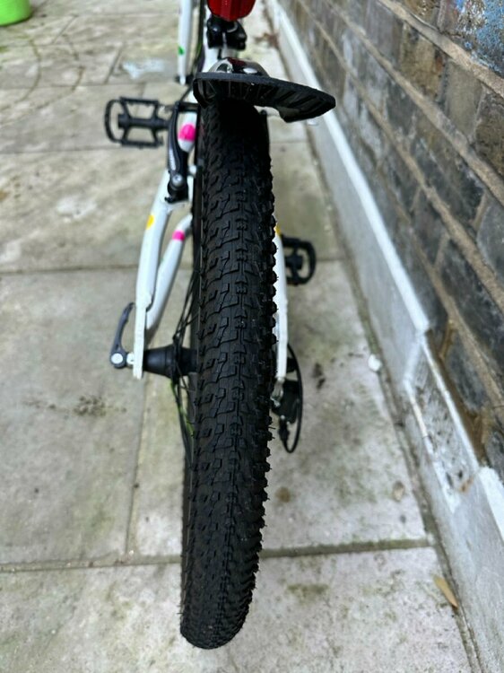 IMG_2210 2 Large.jpeg