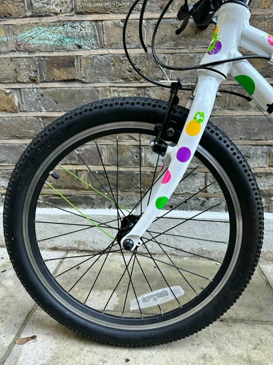 IMG_2211 2 Large.jpeg