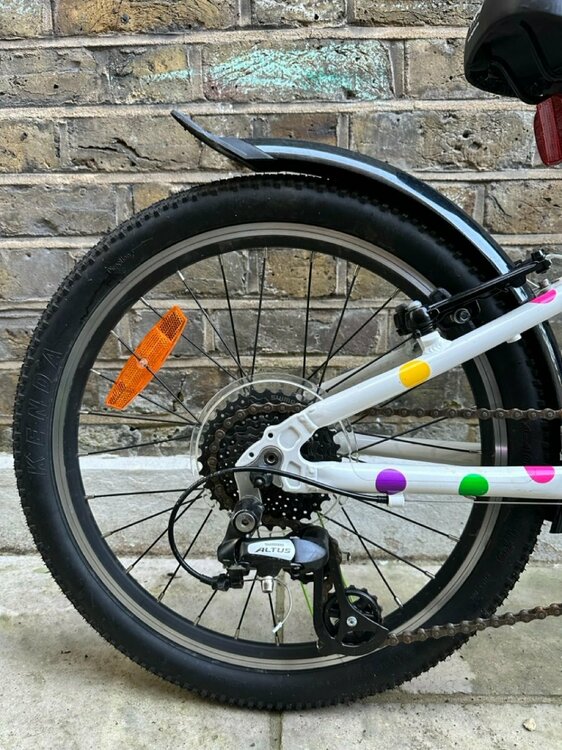 IMG_2213 2 Large.jpeg