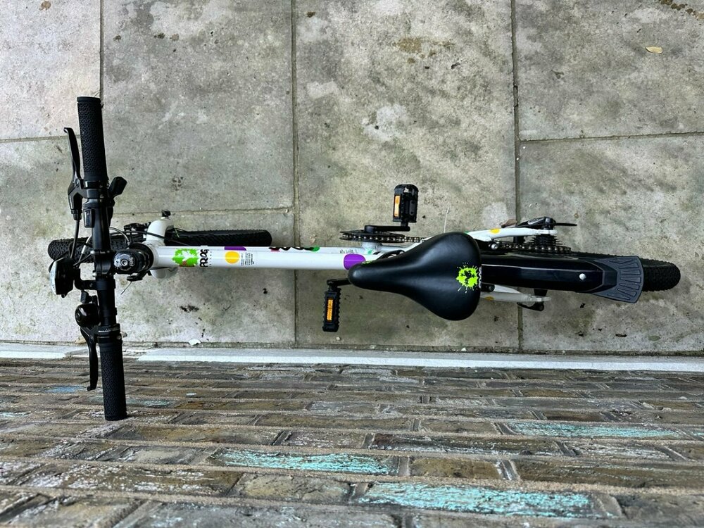 IMG_2216 2 Large.jpeg