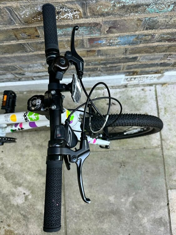 IMG_2218 2 Large.jpeg