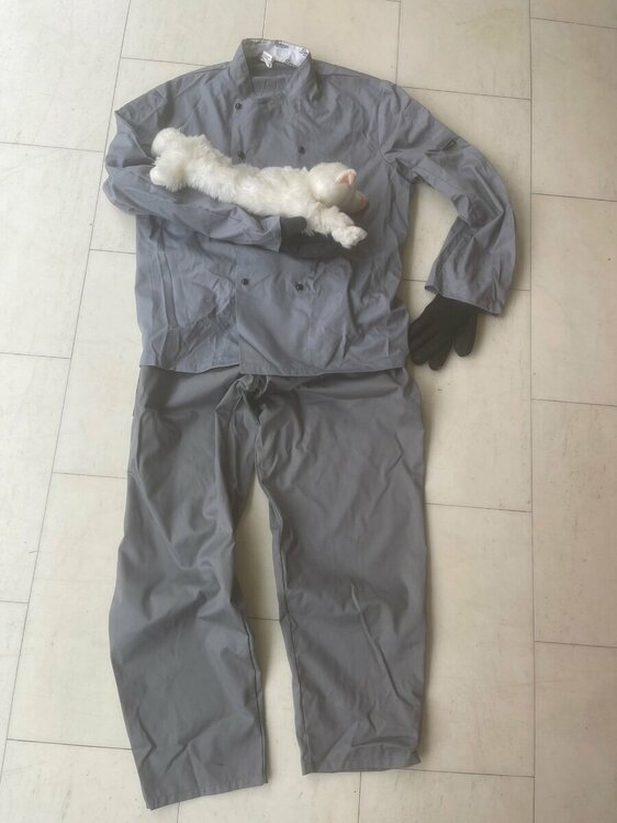 WhatsApp Image 2025-11-03 at 11.34.12.jpeg