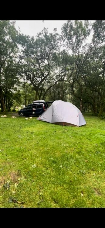 WhatsApp Image 2025-11-15 at 14.37.05.jpeg