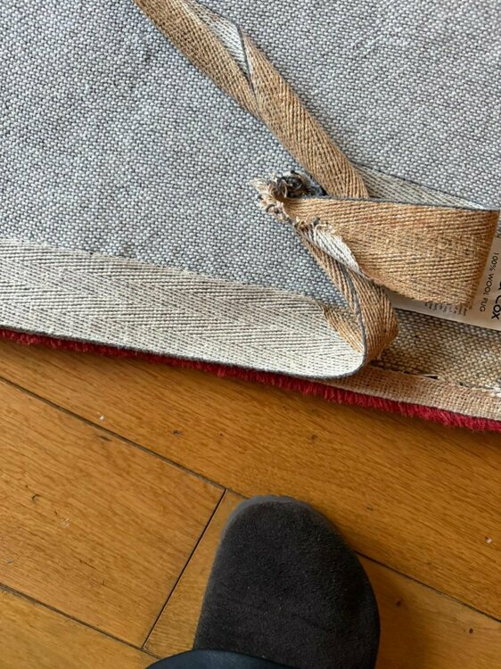 PHOTO-2025-12-08-06-56-36 3.jpg