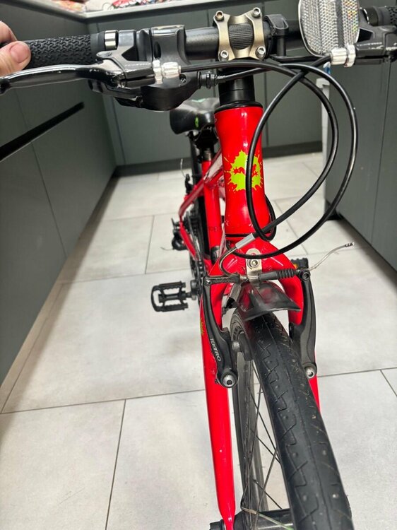 PHOTO-2025-12-11-14-01-09 5.jpg