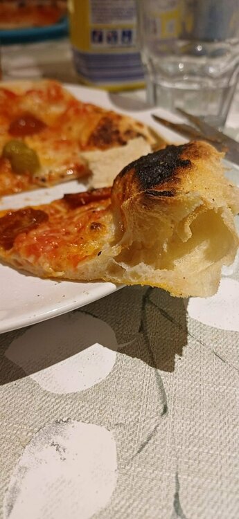 WhatsApp Image 2025-12-03 at 17.02.54 (6).jpeg