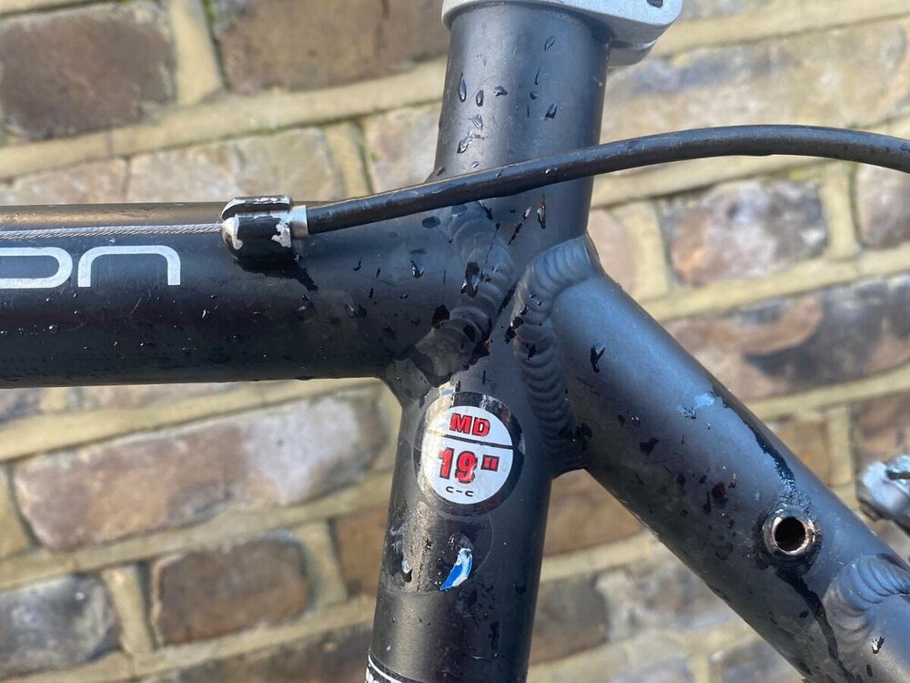 WhatsApp Image 2025-12-08 at 17.17.09.jpeg