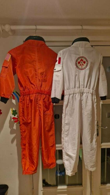 shared image (6).jpg