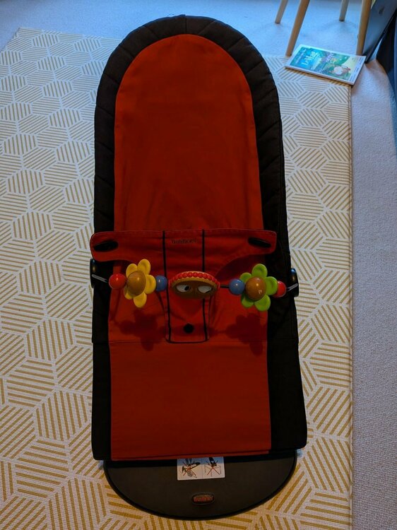 Babybjorn front 2.jpeg