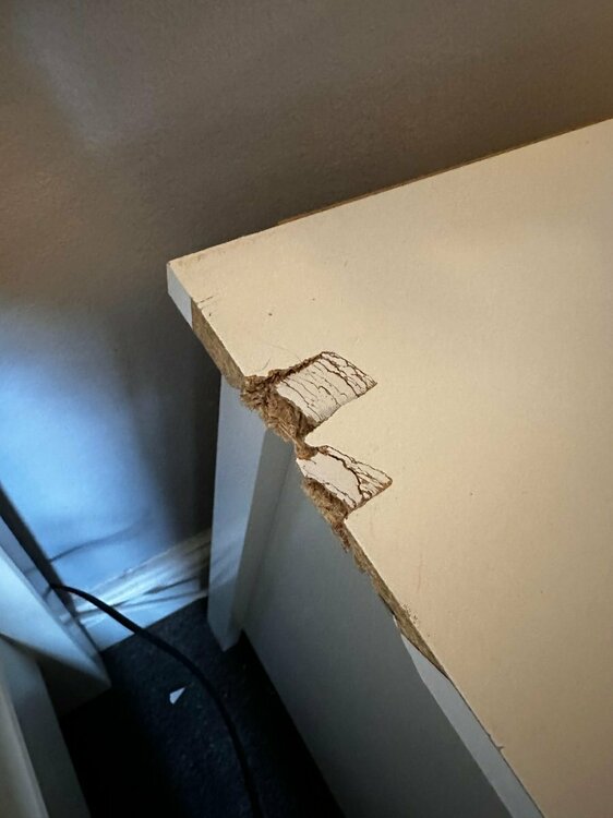 WhatsApp Image 2026-01-14 at 18.54.57 (2).jpeg