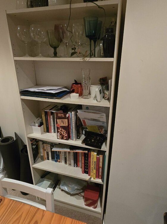 shelving unit.jpeg