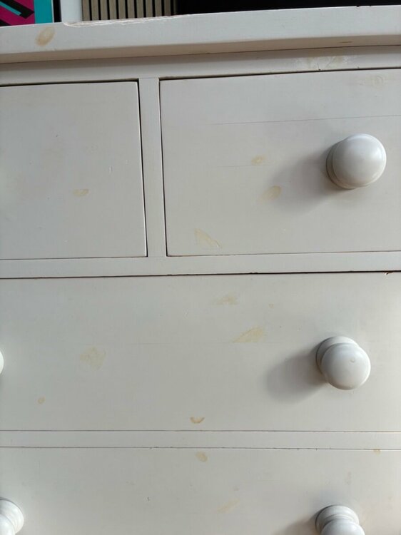 IMG_0168 2 Large.jpeg