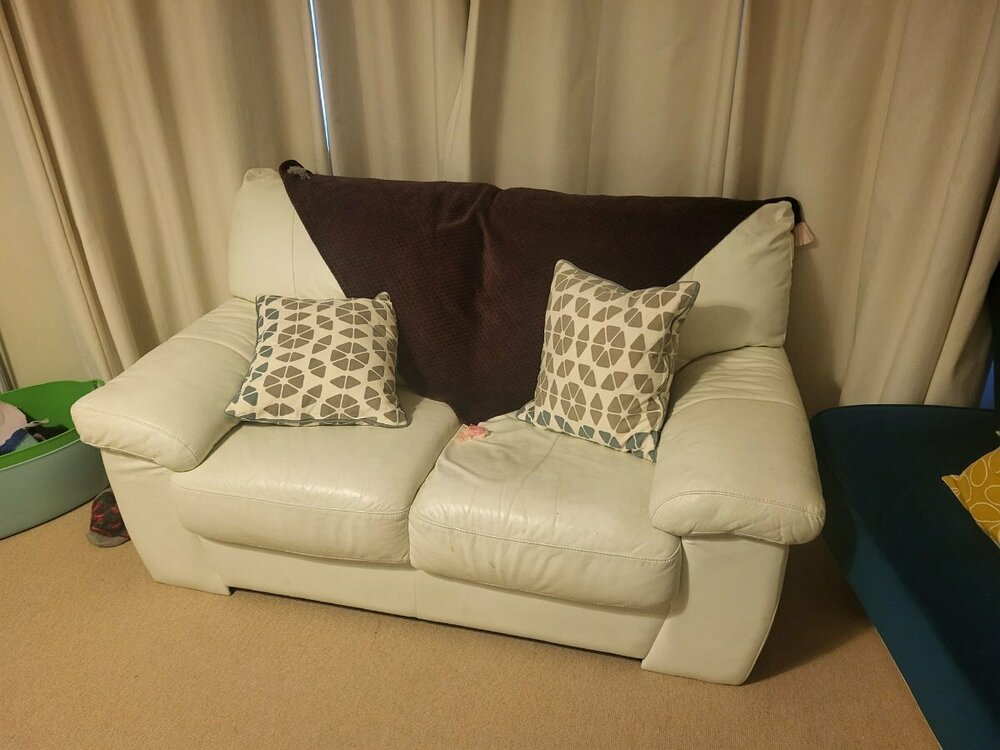 WhatsApp Image 2025-12-03 at 11.03.40.jpeg