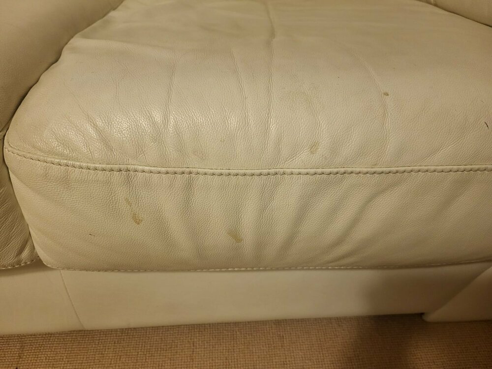 WhatsApp Image 2025-12-03 at 11.03.42.jpeg