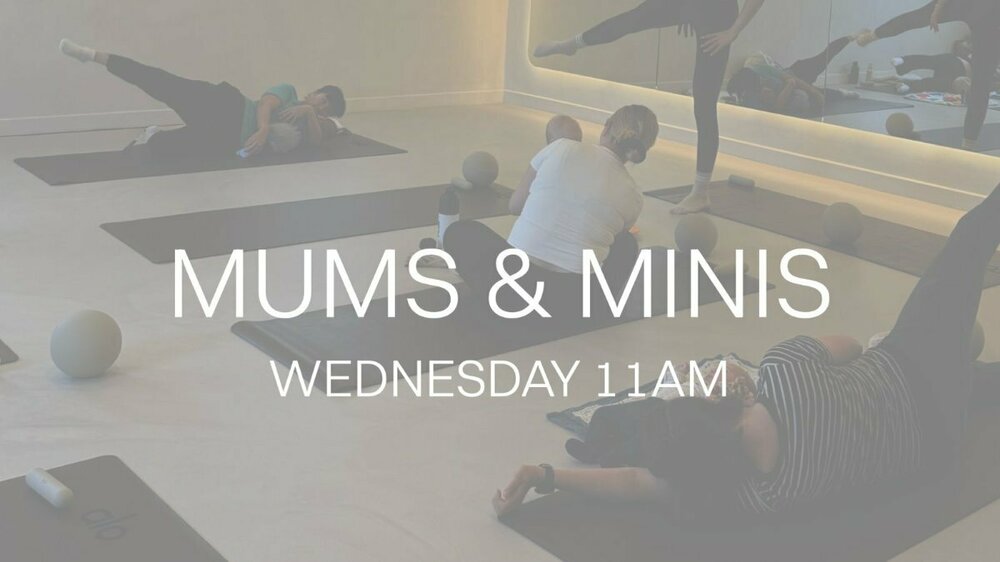 WhatsApp Image 2026-02-03 at 14.23.17.jpeg