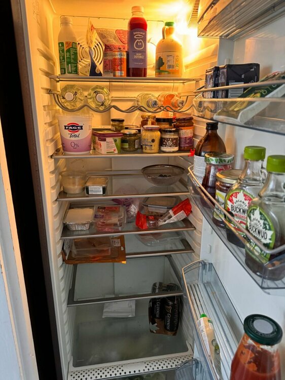 fridge3.jpg